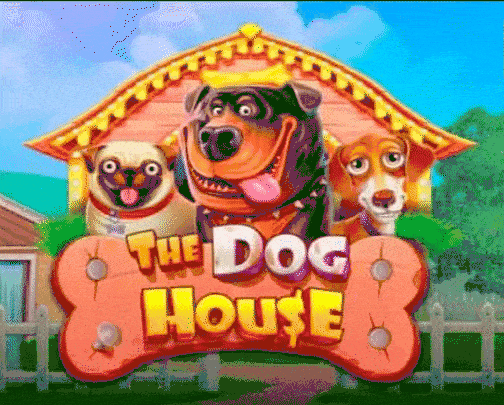 play the dog house slot